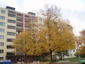 Logo skupiny Koleje ZČU - Kolej B2 Máchova